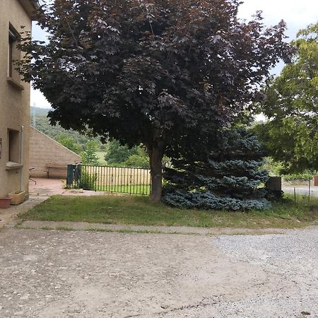 Maison Du Verdouble Rouffiac-des-Corbières 외부 사진