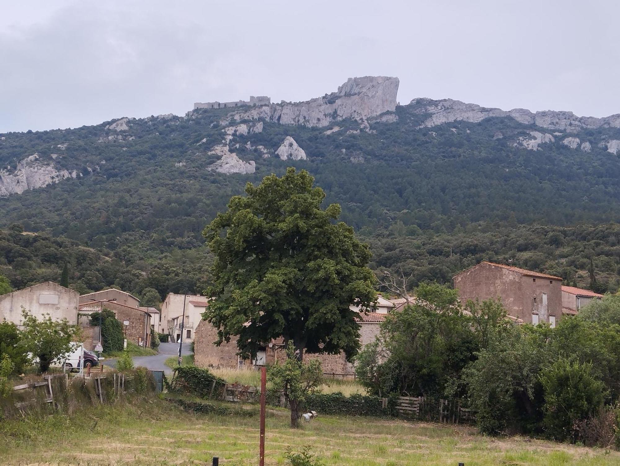 Maison Du Verdouble Rouffiac-des-Corbières 외부 사진
